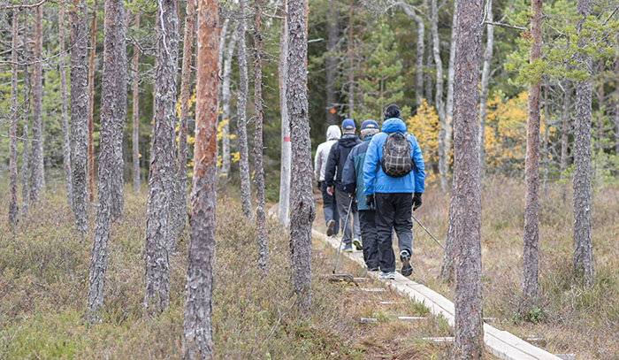 Kansallinen luontoterveysohjelma saa kannatusta Luken ja THL:n tutkijoilta